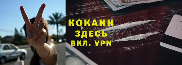 ГАЛЛЮЦИНОГЕННЫЕ ГРИБЫ Баксан