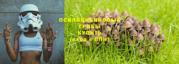 ешки Балахна