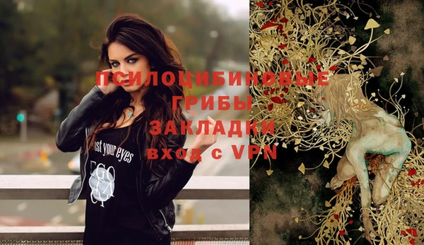 ГАЛЛЮЦИНОГЕННЫЕ ГРИБЫ Баксан