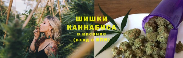 ГАЛЛЮЦИНОГЕННЫЕ ГРИБЫ Баксан