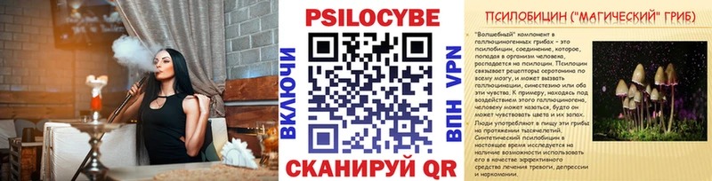 Псилоцибиновые грибы Magic Shrooms  дарнет шоп  Курганинск 
