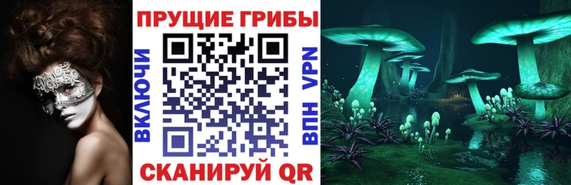 Галлюциногенные грибы Psilocybine cubensis Курганинск